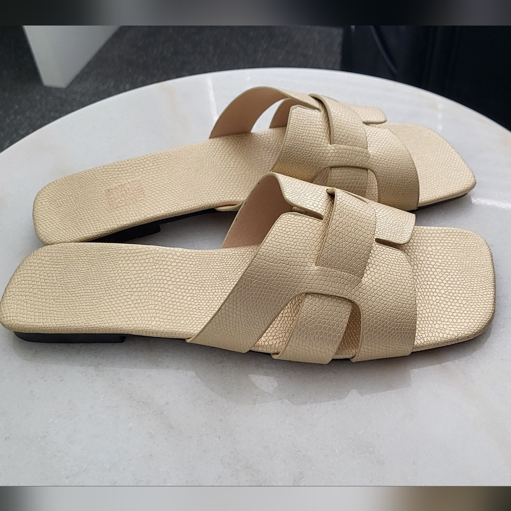 Gold Slides - Picture 2 of 5